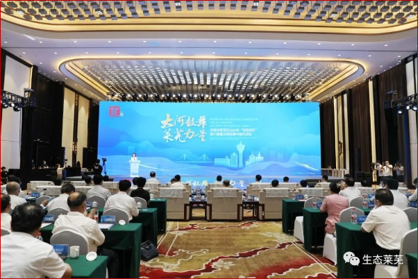 图片12.png